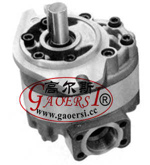 Single gear pump, مضخة تروس واحدة 